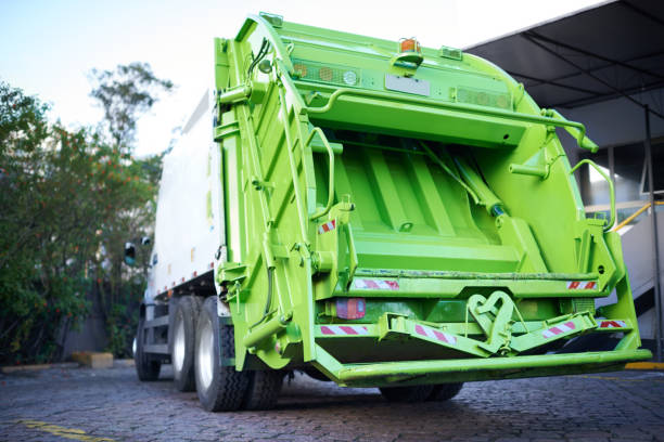 Yard Cleanup Services in Apache Junction, AZ